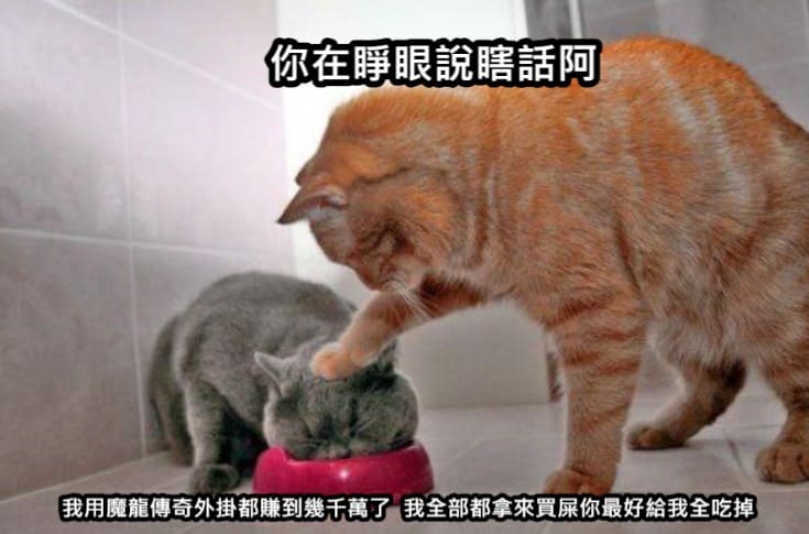 魔龍傳奇外掛詐騙,魔龍傳奇,魔龍傳奇破解,魔龍傳奇訣竅,魔龍傳奇賺錢 魔龍傳奇外掛詐騙,魔龍傳奇,魔龍傳奇破解,魔龍傳奇訣竅,魔龍傳奇賺錢